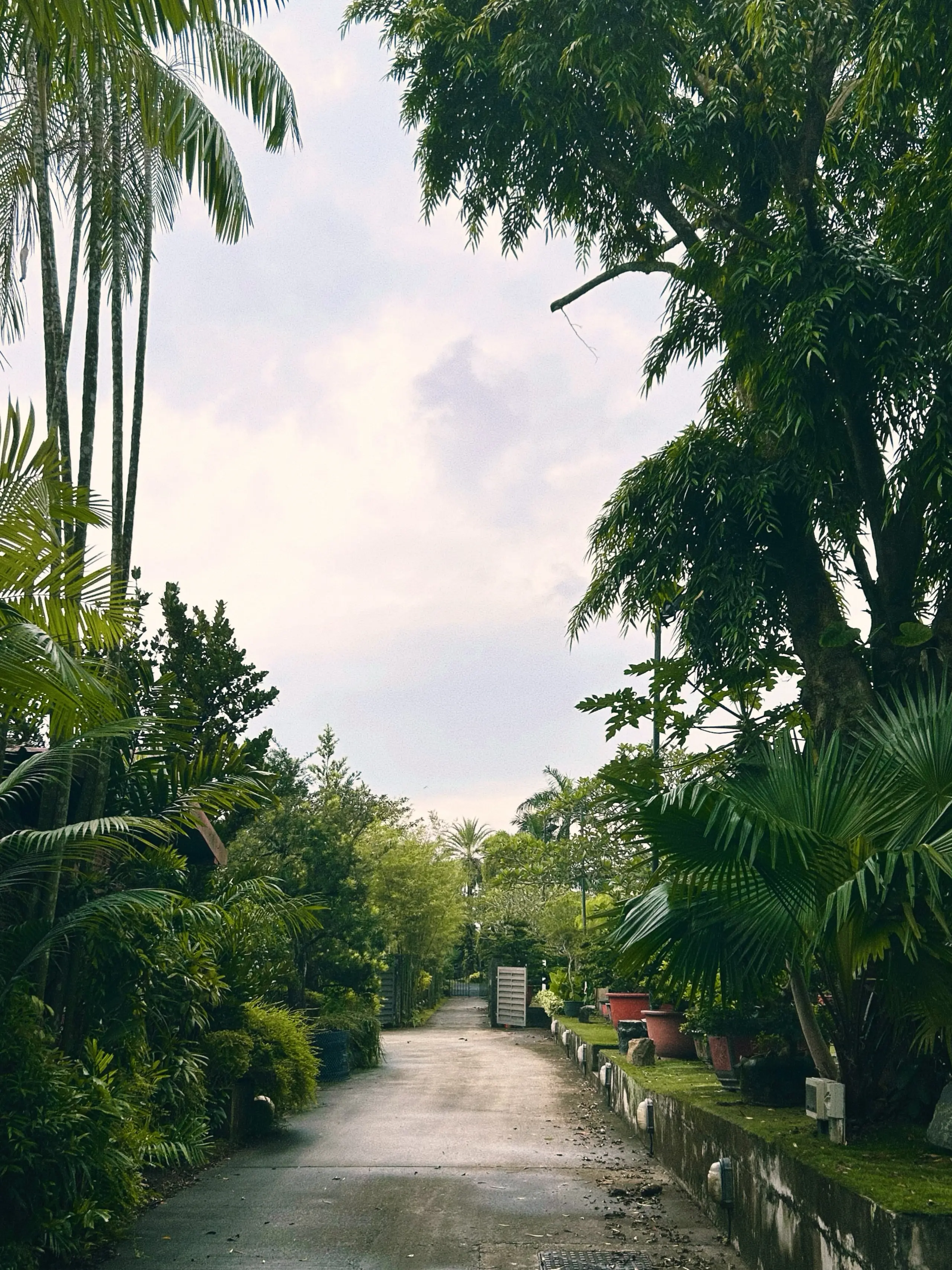 verdant